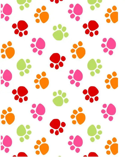 Dimpley DryTots™ Reusable Training Pants (16 Playful Designs)